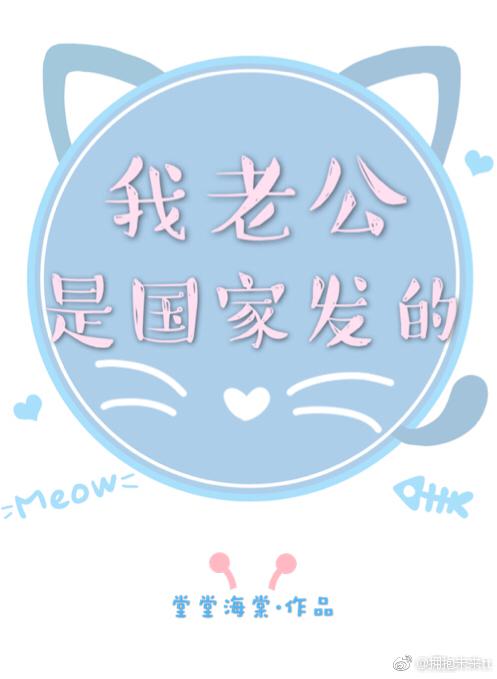 娇妻与公续系列小说