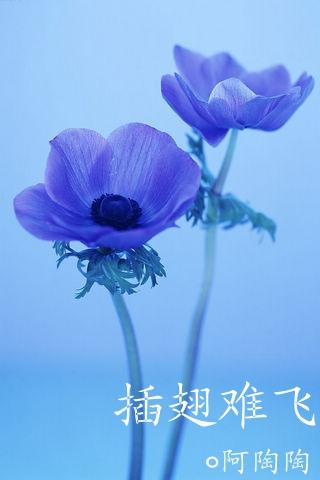 爆鱼网站