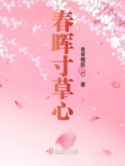 雷电将军卧床去掉所有服装小说