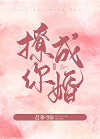 爱乱伴侣