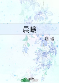 诺亚传说聚宝楼