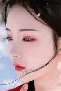 征服母亲txt全集下载