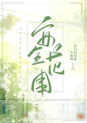 硬骨头电视连续剧全集免费播放