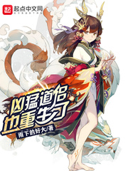解密档案视频