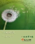 王一霏58秒在线观看