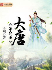 皇上每晚都要H公主