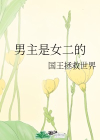 四个好色的女人国语