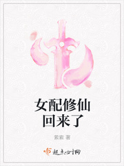 私人手段