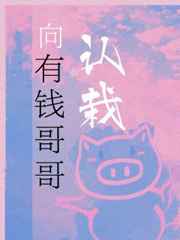 类似白洁的书