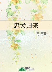 读心神探国语版全集免费观看