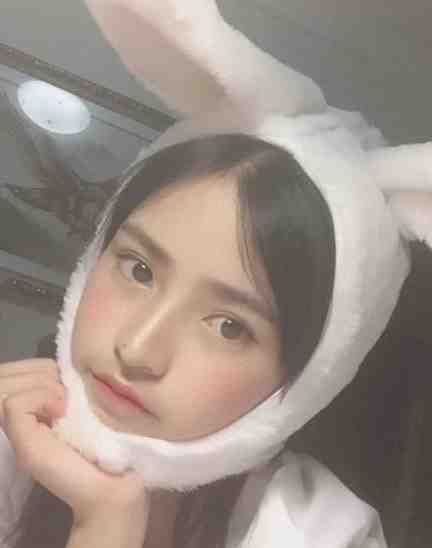 小白菜奇案