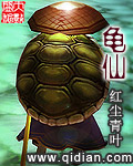 热爱岛