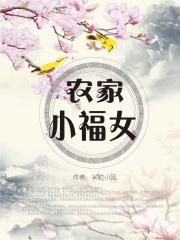 女婿岳母小说