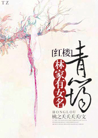 塔洛希岛小说
