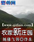 村干部日水娥几集