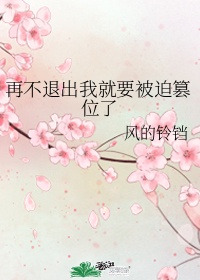 高N车多肉公交车