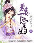 大团结小说目录