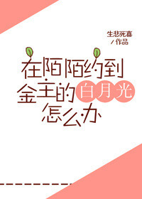 延禧攻略小说