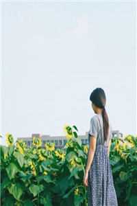 山中艳谈
