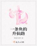 龙门客栈电视剧