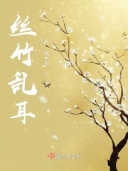 面包网电影