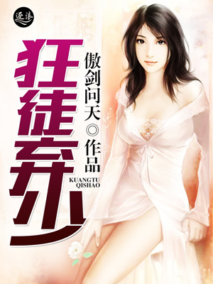 霜纹包