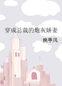 丁婷和锅炉房老李