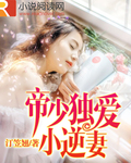 阿飞正传小说无删减
