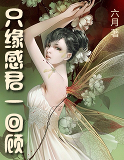 你是我的新欢旧爱电视剧在线观看