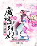 混乱小镇公交车售票员用