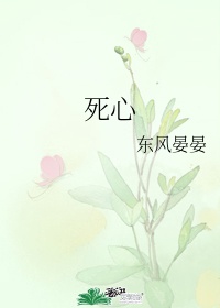 鸡毛飞上天电视剧全集免费