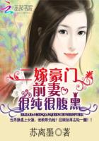 召唤老婆系统