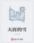 谍影重重6