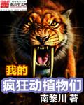 一家人之名电视剧免费观看策驰