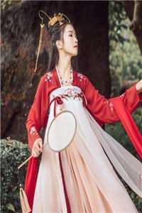红杏飘香1一211节