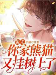 电子书免费下载全集全本完结