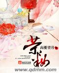 《女性》美剧英剧
