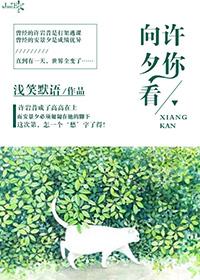 垫片规格型号标准