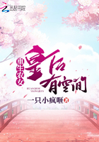 蓝湛黑化囚禁魏无羡文