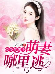 我的妖精夫君们
