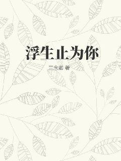 隋唐英雄传动画片