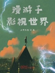 视频入口