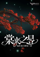 野鸡网
