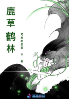 葵实野理