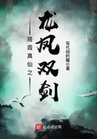 我是你的百搭电视剧全集免费观看