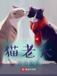善良的婶婶