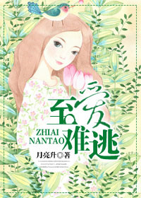 av视频软件