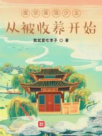 隐形的翅膀电视剧全集