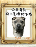 爱我就别想太多在线播放