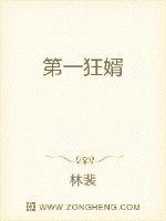 大话降龙全集